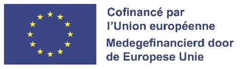 Europese Unie 2025_Logo_FSE+.jpg