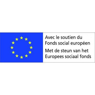 Logo FSE Logo FSE