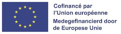Europese Unie 2025_Logo_FSE+.jpg